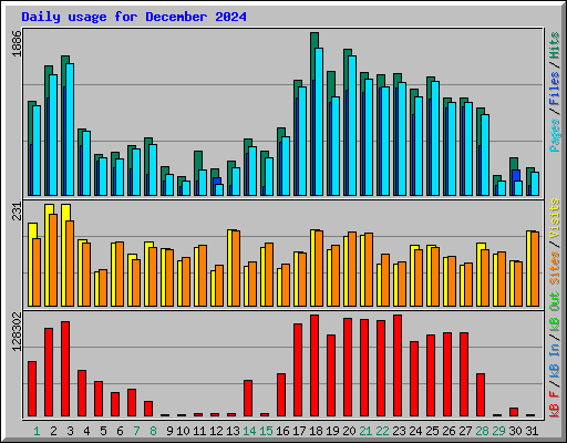 Daily usage for December 2024