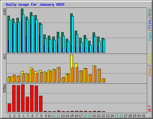 Daily usage for January 2025