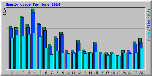 Hourly usage for June 2024