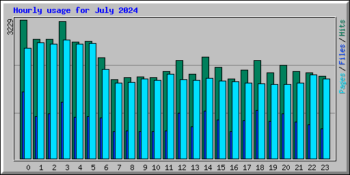 Hourly usage for July 2024