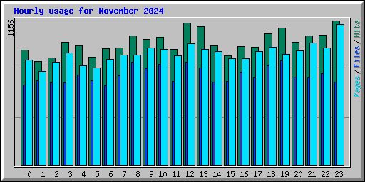 Hourly usage for November 2024