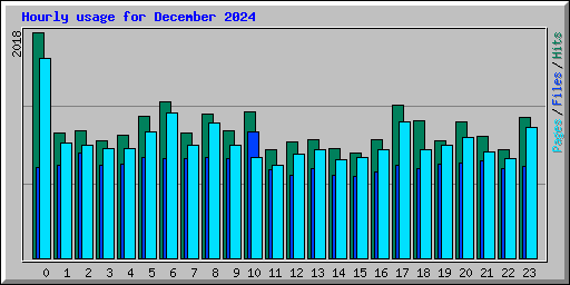 Hourly usage for December 2024