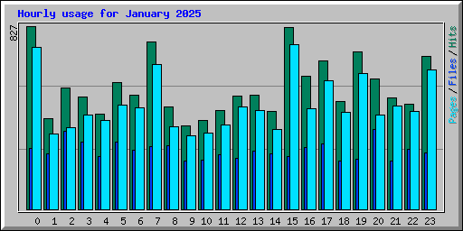 Hourly usage for January 2025